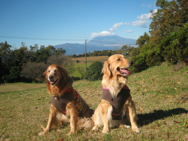 ファイル 455-1.jpg