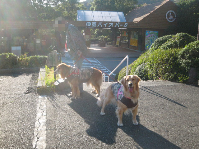 ファイル 455-2.jpg