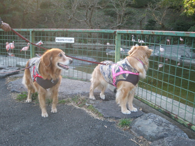 ファイル 455-3.jpg