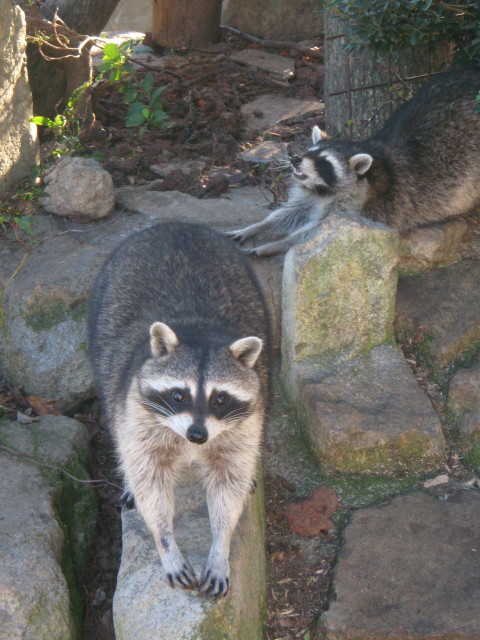 ファイル 455-4.jpg