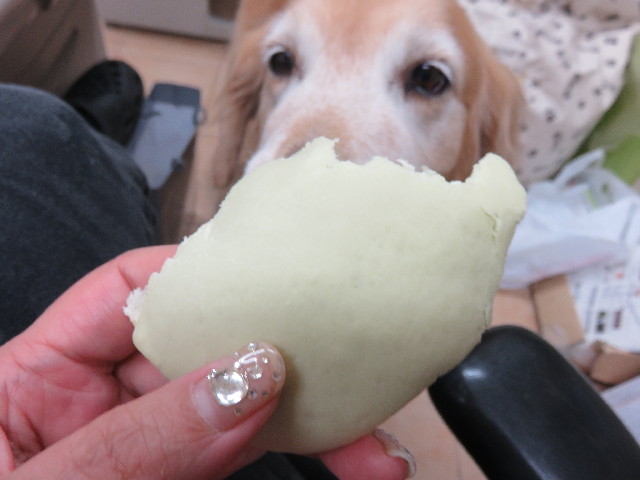 ファイル 4552-5.jpg