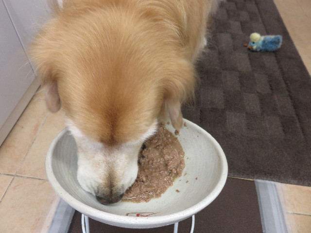 ファイル 4554-2.jpg