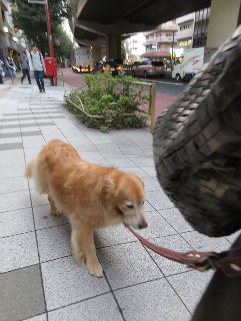 ファイル 4555-1.jpg