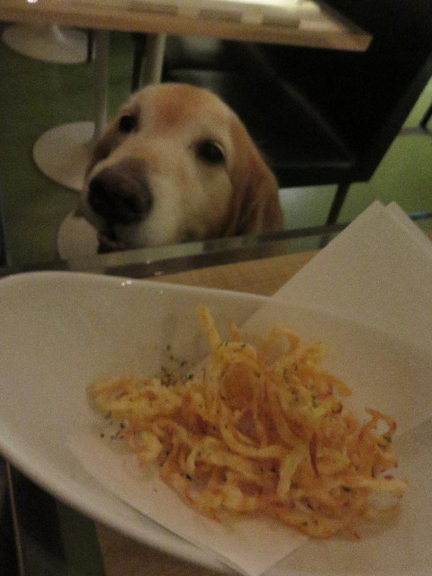 ファイル 4555-3.jpg