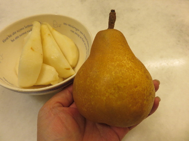 ファイル 4556-2.jpg