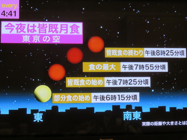 ファイル 4557-1.jpg