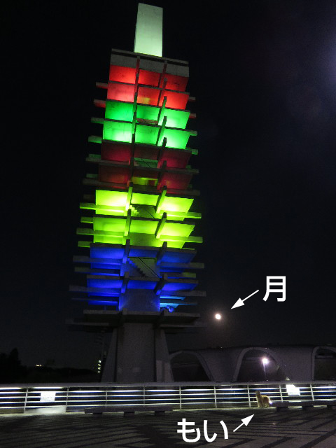 ファイル 4557-3.jpg