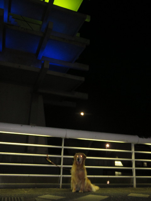 ファイル 4557-5.jpg