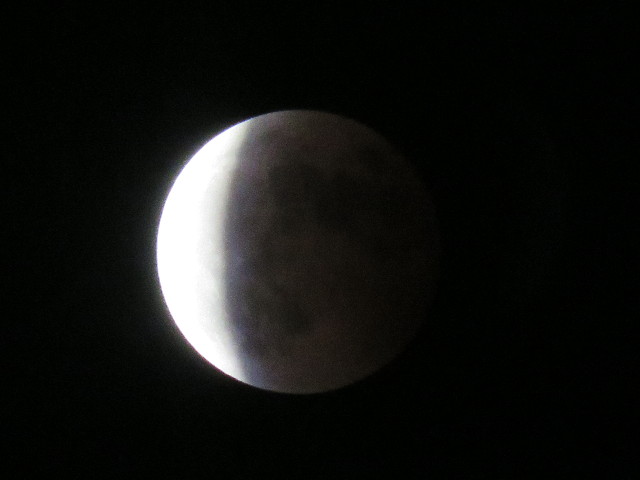 ファイル 4558-5.jpg