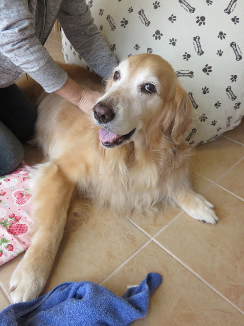 ファイル 4561-2.jpg