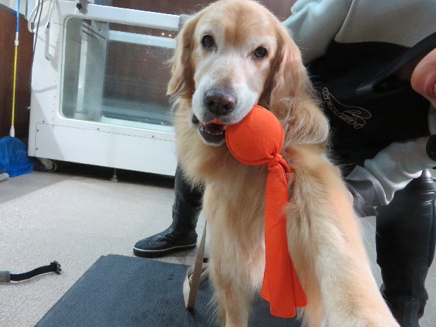 ファイル 4566-4.jpg