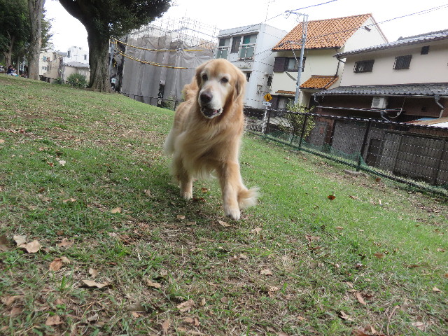 ファイル 4567-3.jpg