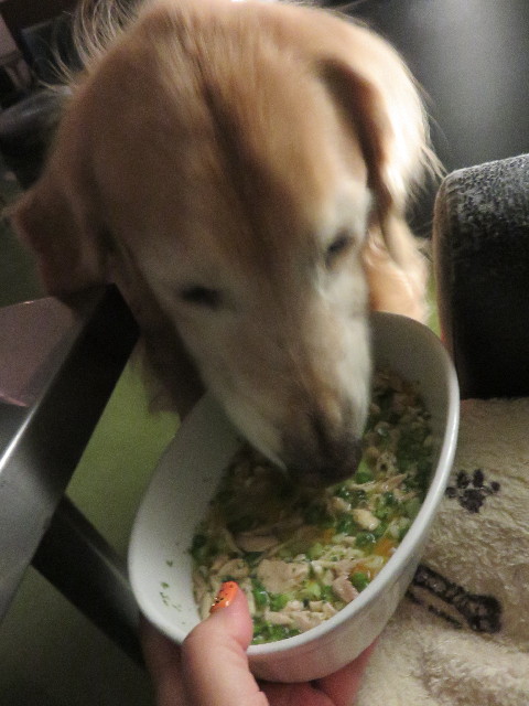 ファイル 4569-3.jpg