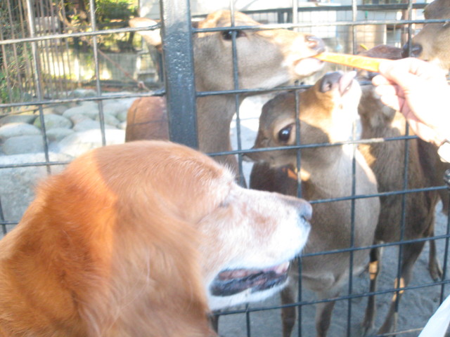 ファイル 457-1.jpg