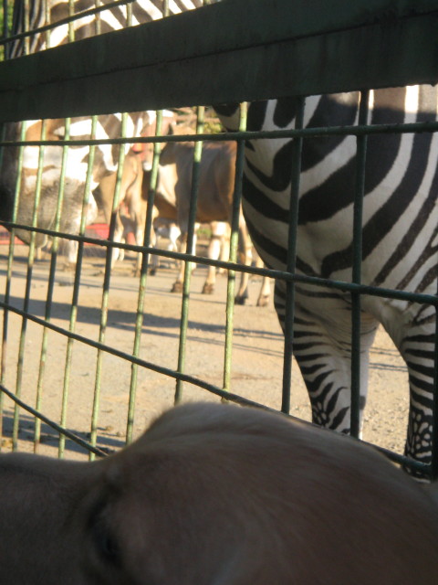 ファイル 457-2.jpg