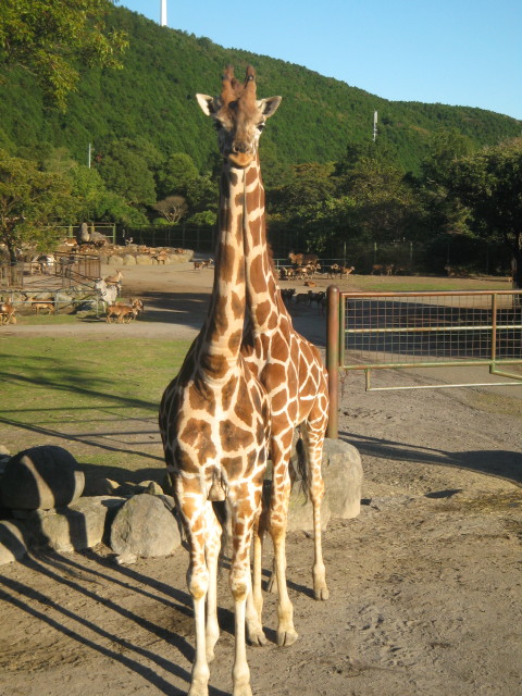 ファイル 457-3.jpg