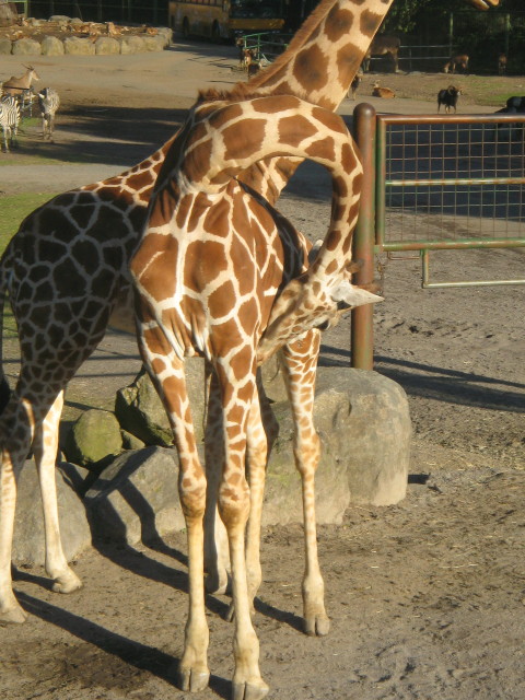 ファイル 457-4.jpg