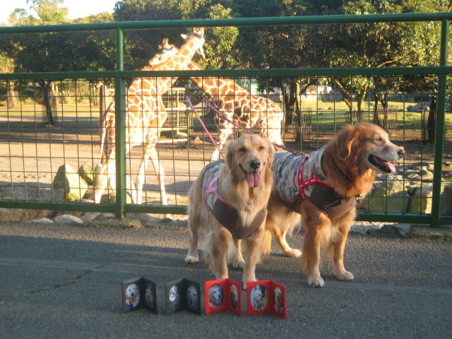 ファイル 457-5.jpg