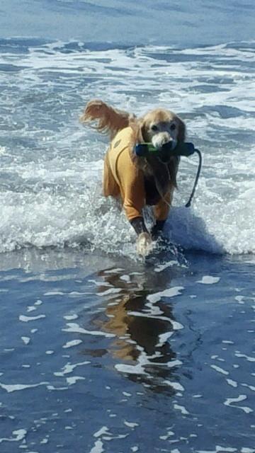 ファイル 4570-4.jpg