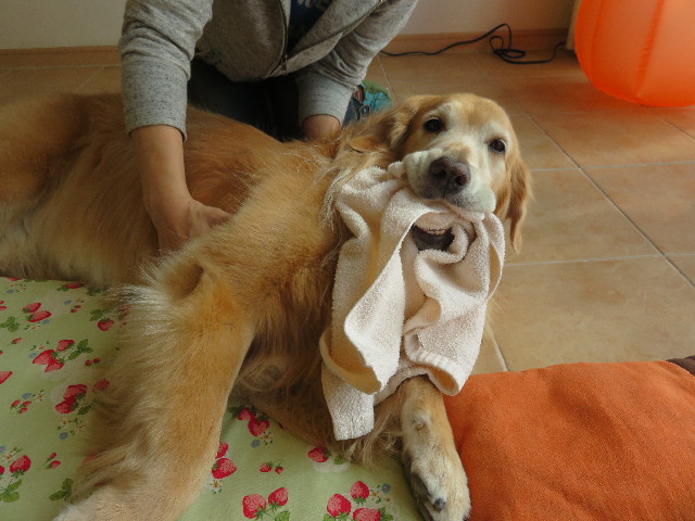 ファイル 4571-4.jpg