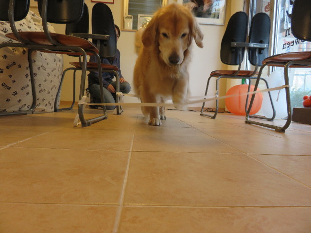 ファイル 4572-2.jpg