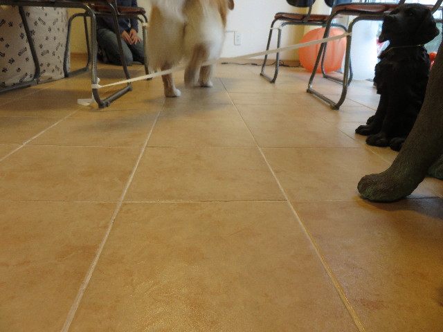 ファイル 4572-3.jpg