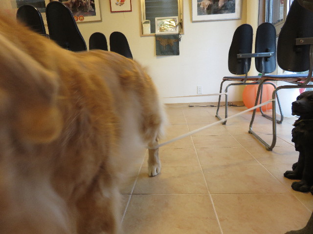 ファイル 4572-5.jpg