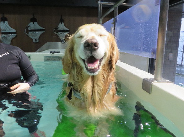 ファイル 4575-4.jpg