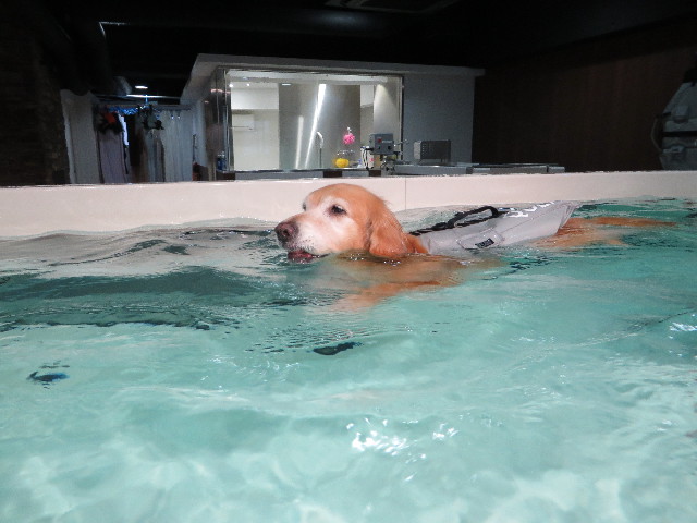 ファイル 4575-5.jpg