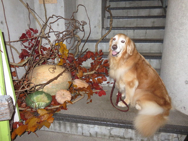 ファイル 4577-2.jpg