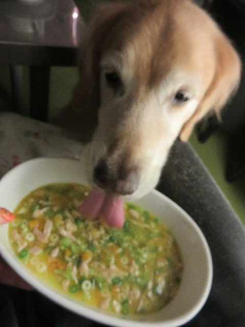 ファイル 4577-4.jpg