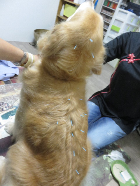 ファイル 4578-2.jpg