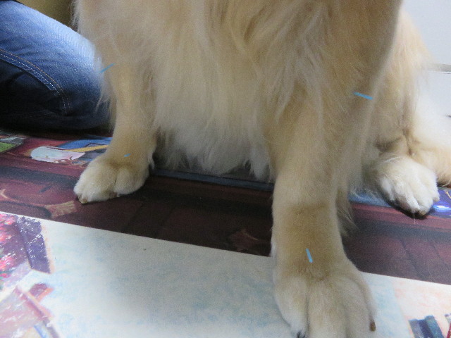 ファイル 4578-3.jpg