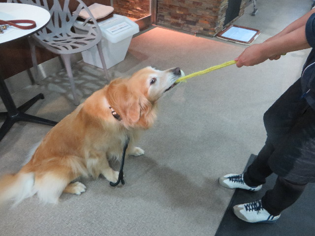 ファイル 4579-1.jpg