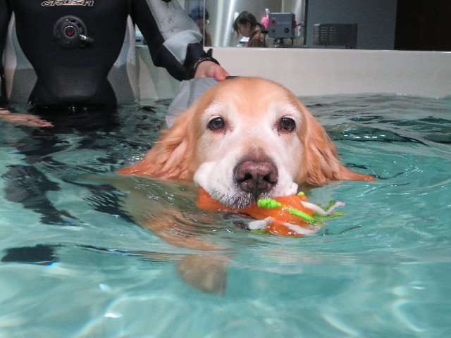 ファイル 4579-2.jpg