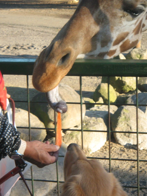 ファイル 458-4.jpg