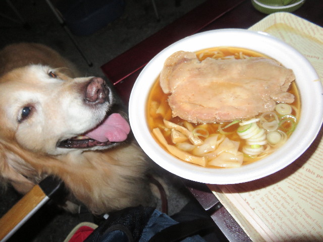 ファイル 4583-5.jpg