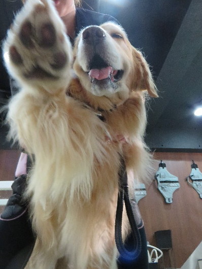 ファイル 4588-2.jpg