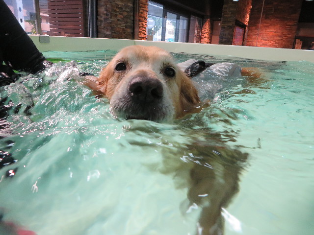 ファイル 4588-4.jpg