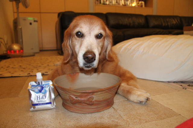 ファイル 4589-1.jpg