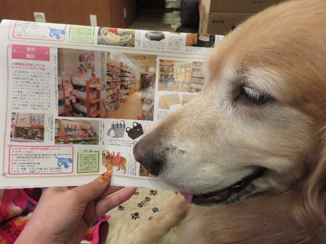 ファイル 4591-2.jpg