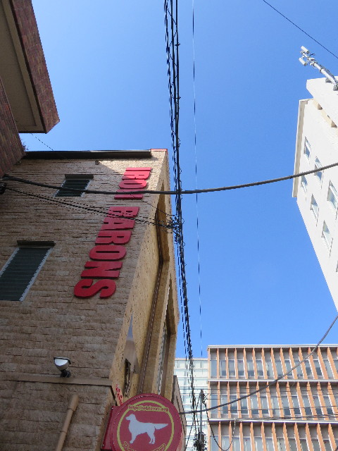 ファイル 4591-3.jpg