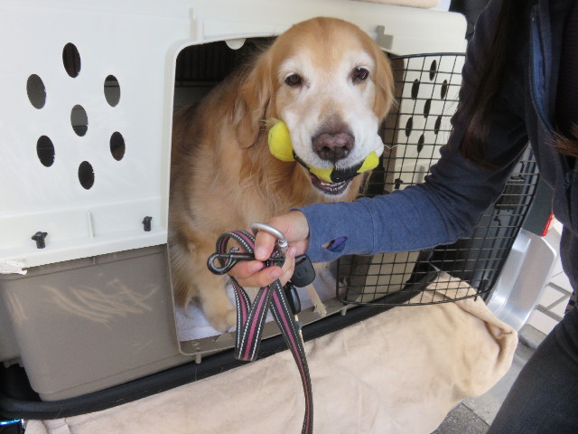 ファイル 4591-5.jpg