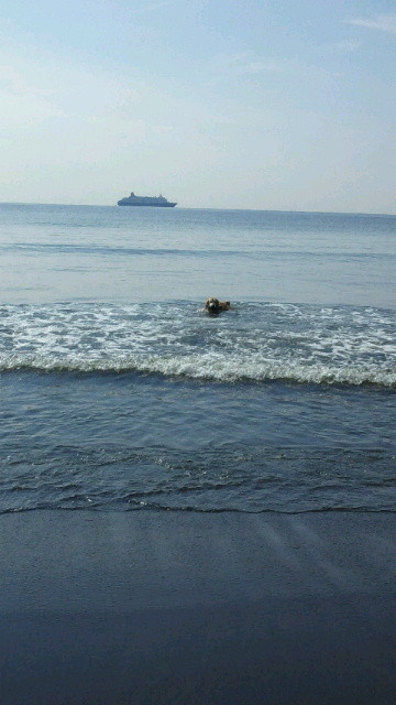 ファイル 4592-2.jpg