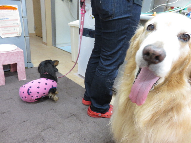 ファイル 4594-2.jpg