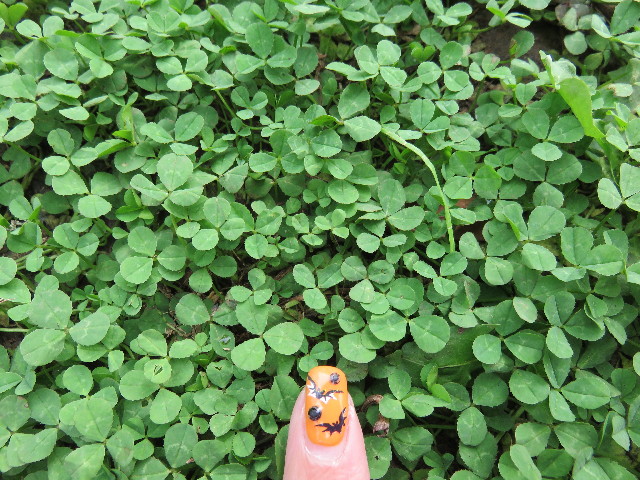 ファイル 4594-3.jpg