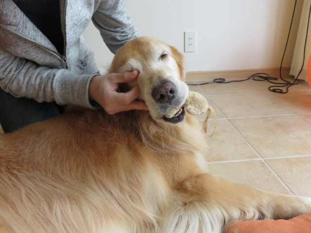 ファイル 4594-4.jpg