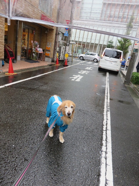 ファイル 4595-1.jpg