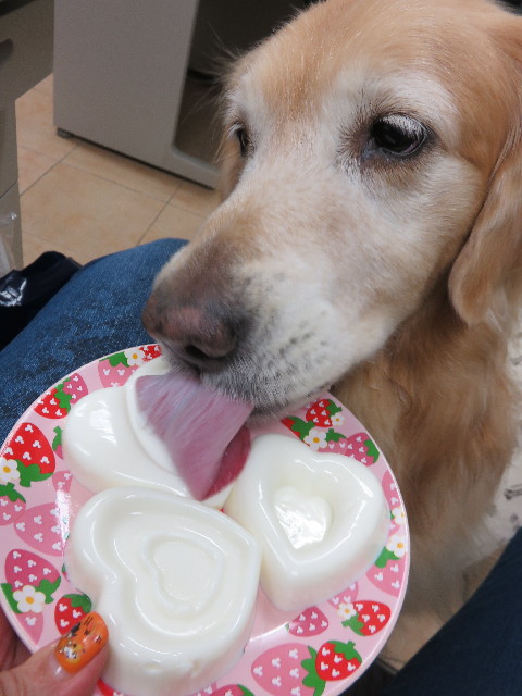 ファイル 4595-4.jpg