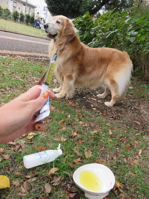 ファイル 4596-2.jpg